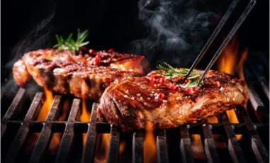 Ratgeber Grill Arten