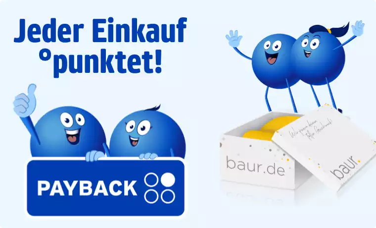 Payback Punkte