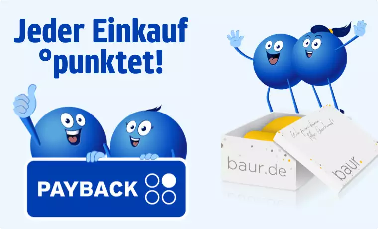 Payback Punkte