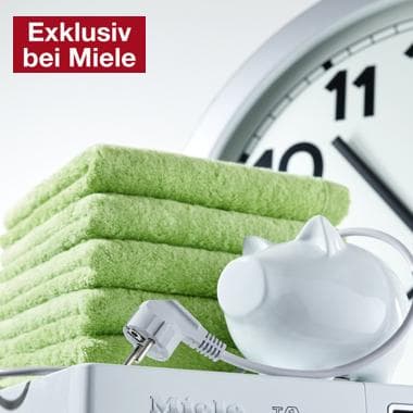 EcoDry Technologie