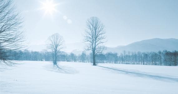 Winterhochzeit