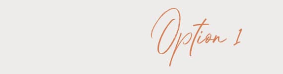 Option 1