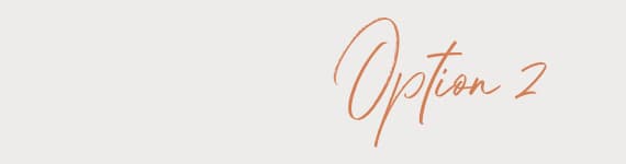 Option 2
