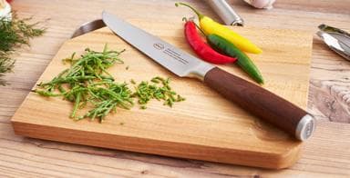 Fleischmesser