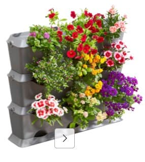Blumenkästen