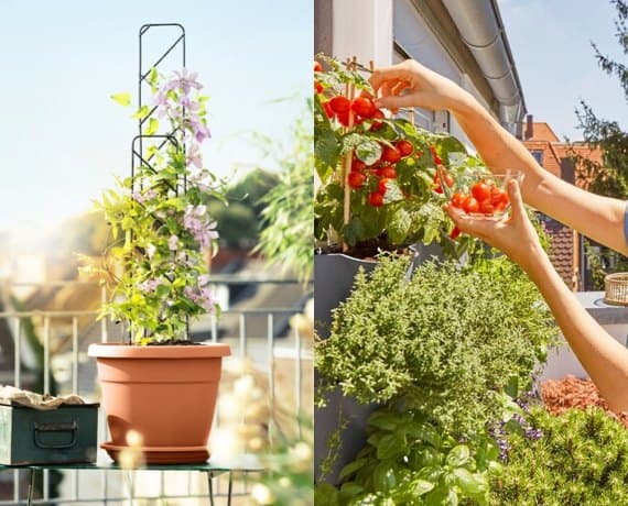 Blumenkästen