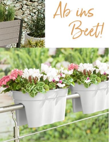Blumentöpfe