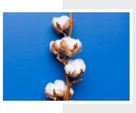 T-Shirt waschen leicht gemacht