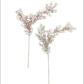 Trockenblumen