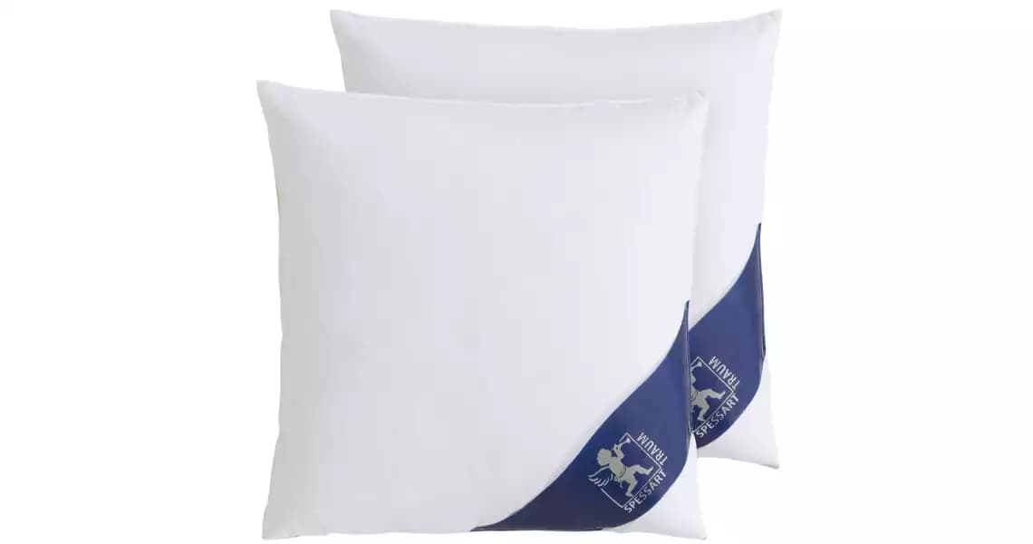 Daunenkissen