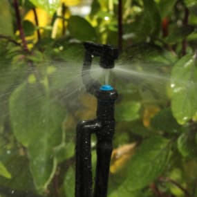 Bewässerungssysteme für den Garten