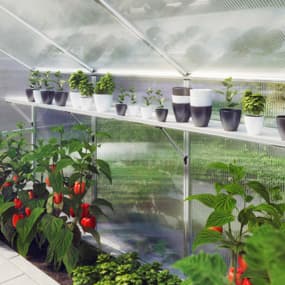 Gewächshaus Hängeregale