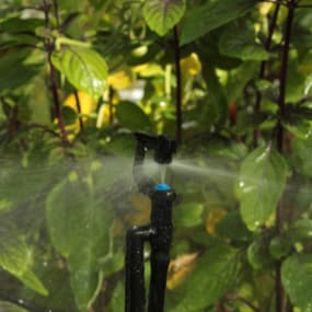 Bewässerungssysteme für den Garten