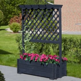 Rosenbögen & Spaliere	