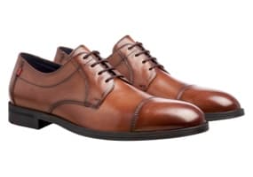 braune Businessschuhe