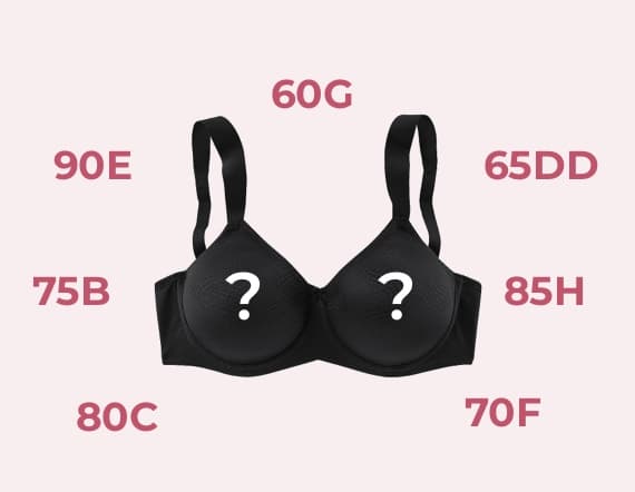BH-Größe