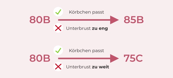 Körbchengröße