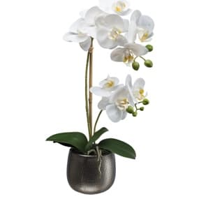 Künstliche Orchideen