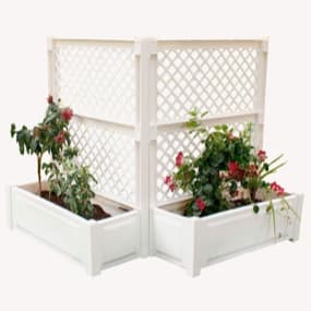 Rosenbögen & Spaliere