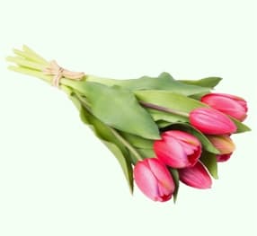 Osterdeko Kunstpflanzen