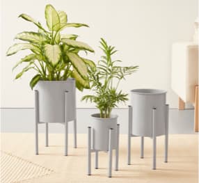 Blumentöpfe grau