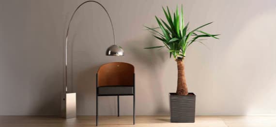 Pflanzkübel für Garten & Balkon