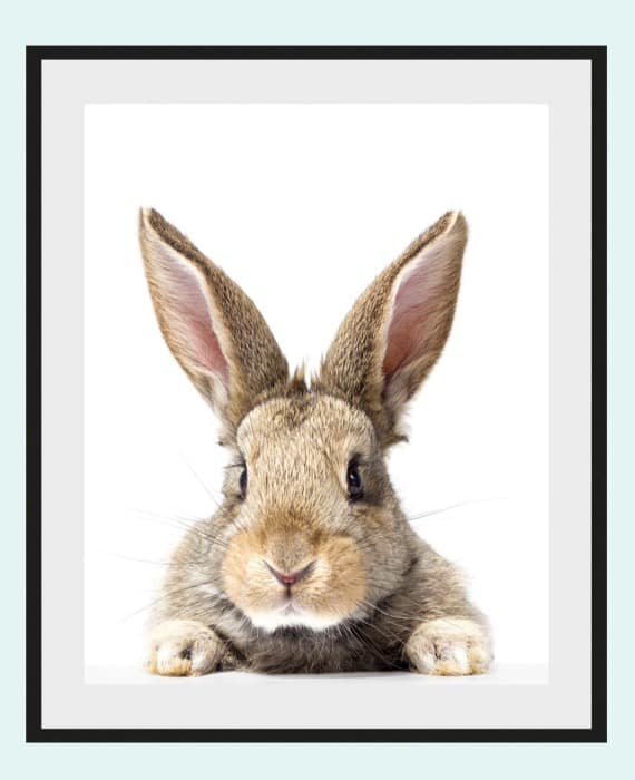 Ostern Bilder