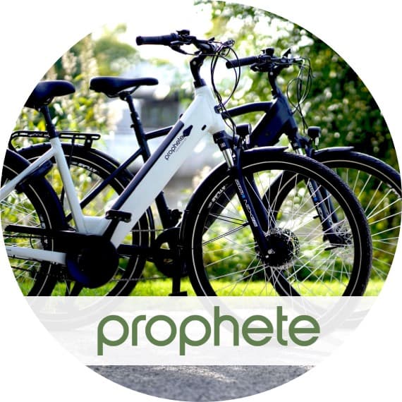 Prophete