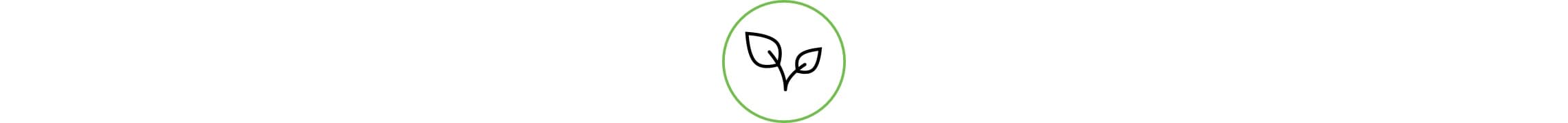 Verantwortung der Zukunft zu Liebe