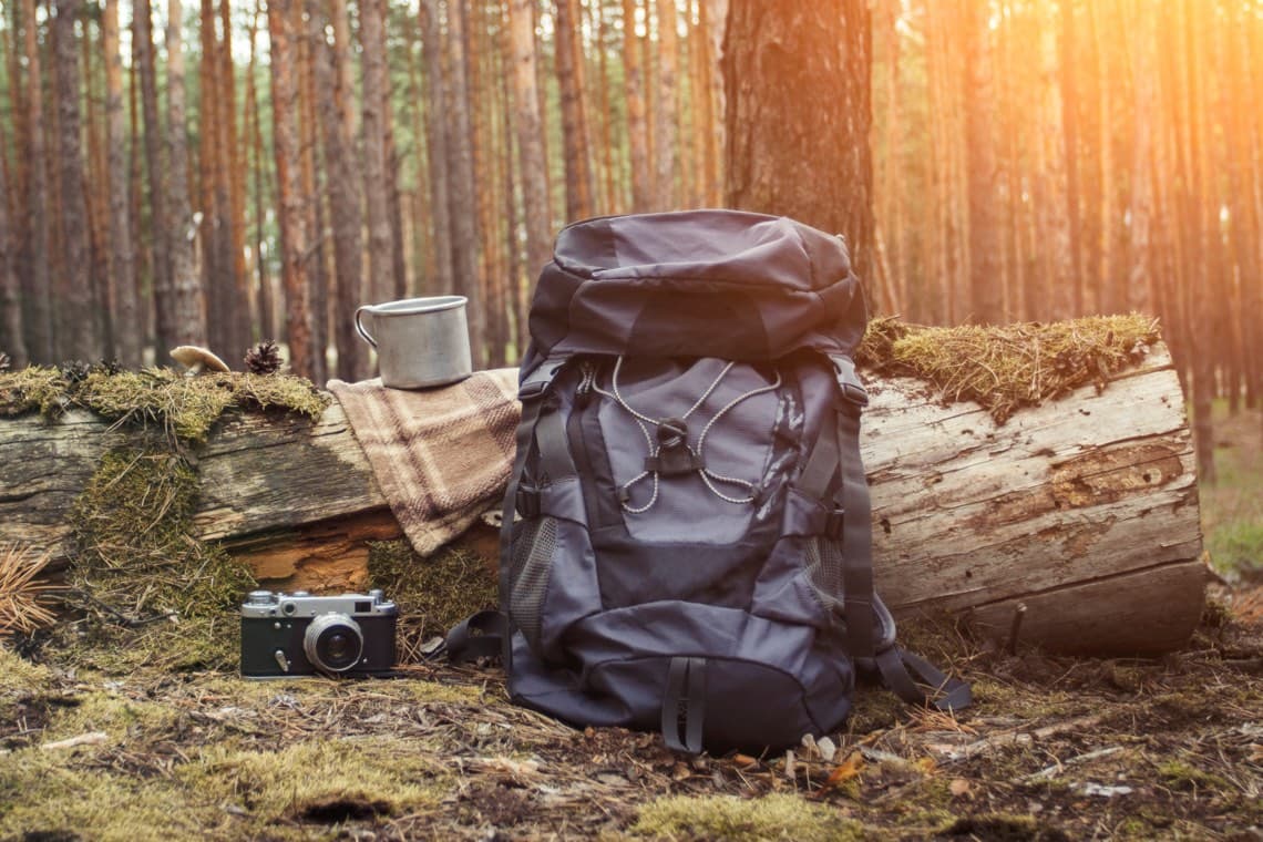 Rucksack, Kamera, Becher und Decke liegen auf einem Baumstamm im Wald, Sonnenstrahlen im Hintergrund