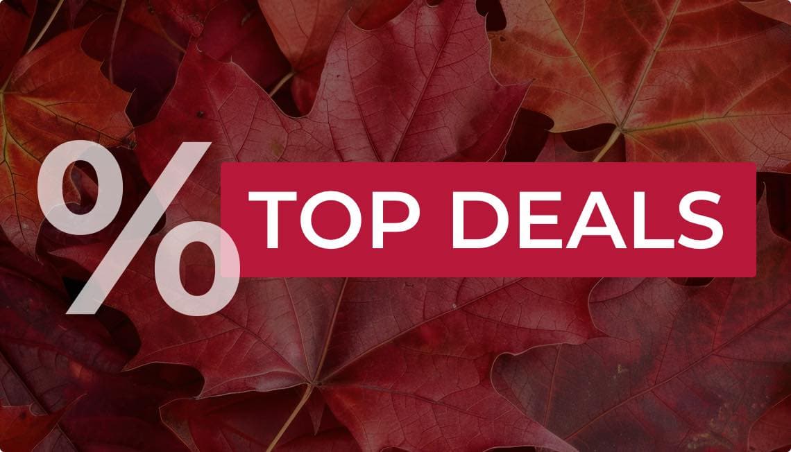Top Deals % – Rote Herbstblätter im Hintergrund