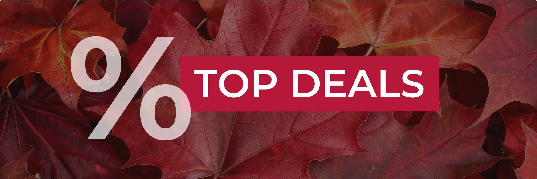 Top Deals – Prozentzeichen auf roten Herbstblättern