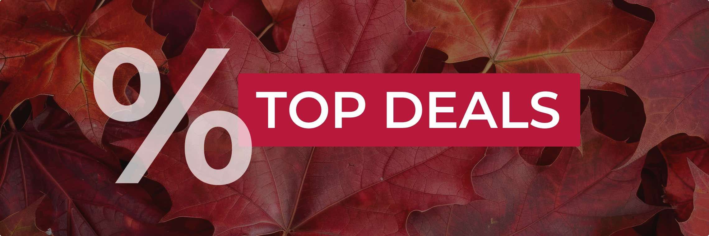 Top Deals – Prozentzeichen auf roten Herbstblättern