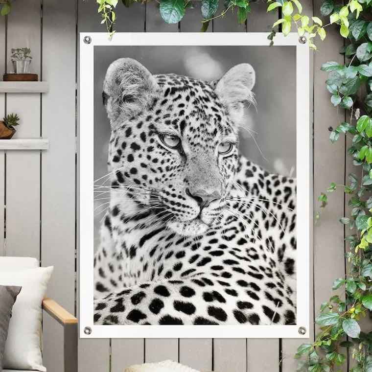 Leopardenbild in Schwarz-Weiß an einer Gartenwand mit Pflanzen und einem weißen Stuhl