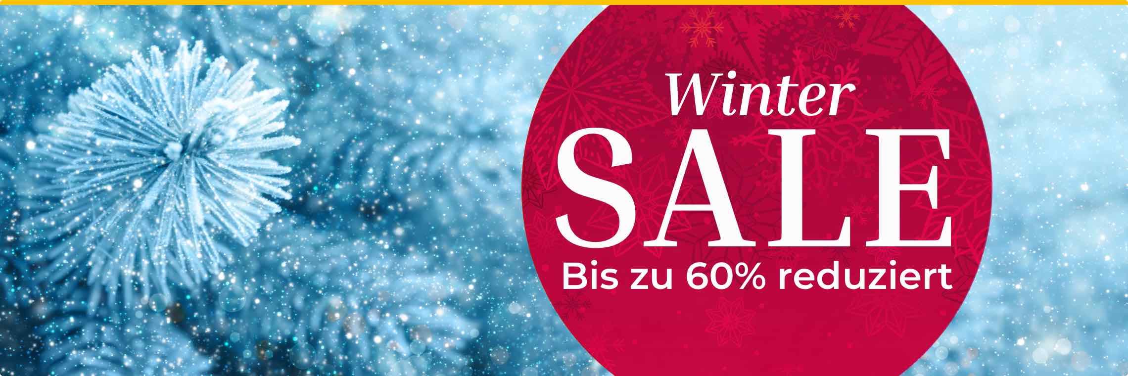 Winter SALE Bis zu 60% reduziert – Nahaufnahme eines vereisten Tannenzweigs im Hintergrund