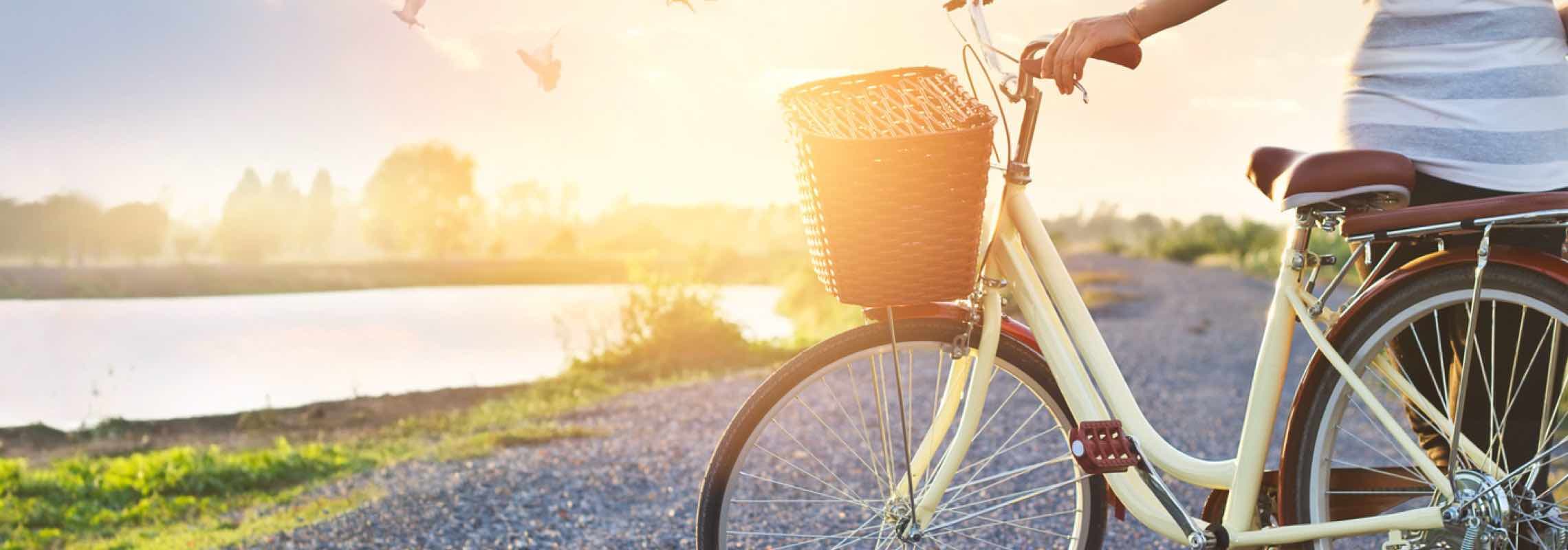 Person mit Fahrrad und Korb fährt am Fluss entlang, im Hintergrund Sonnenuntergang und fliegende Vögel