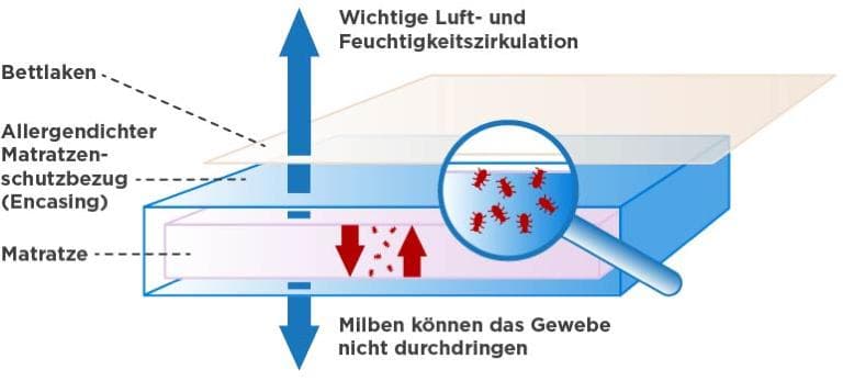 Worst Case für Allergiker: Milben in Betten