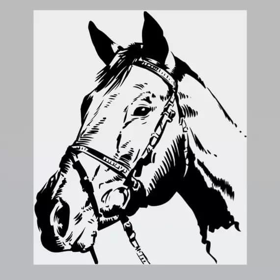 Wandtattoos Tiere