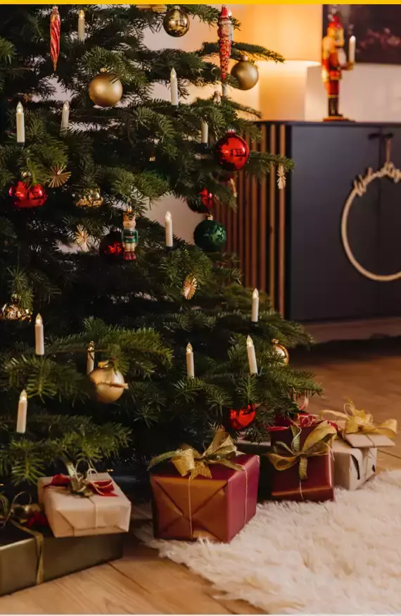Lookbook Weihnachten