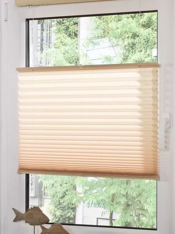 Jalousien