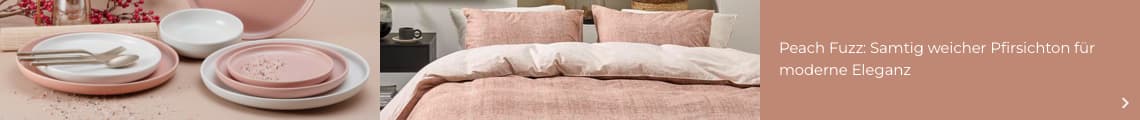Pantone Farbe 2024
