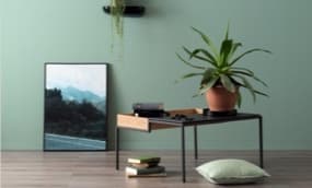 Wohnzimmer grün