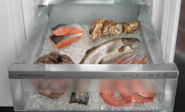Fish & Seafood-Safe