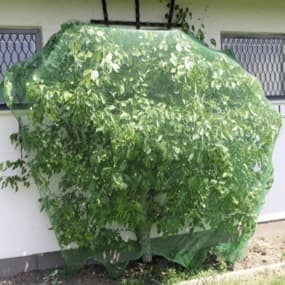 Pflanzenschutz