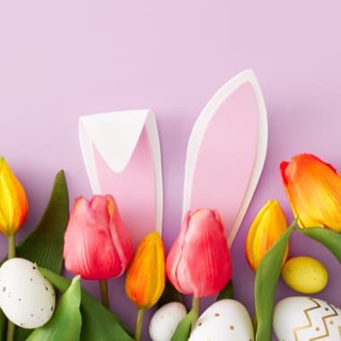 Weiße Hasenohren, die hinter Tulpen vorschauen