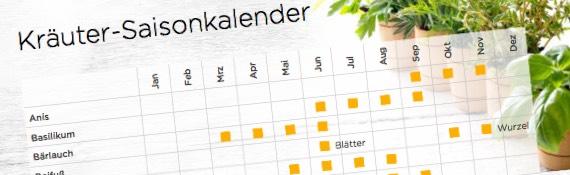 Kräuter-Saisonkalender