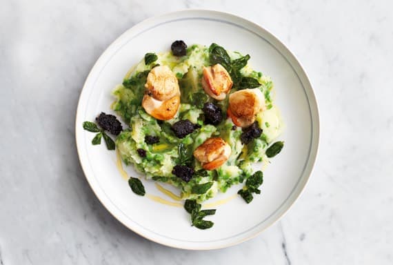 Braun gebrutzelte Jakobsmuscheln