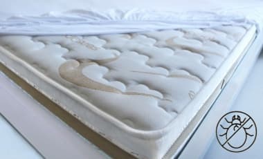 Tipps für Allergiker