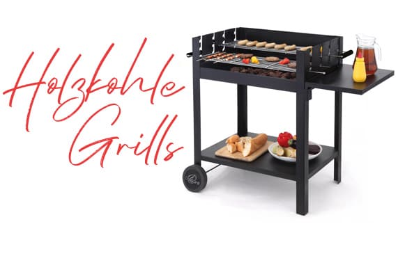 Holzkohlegrills