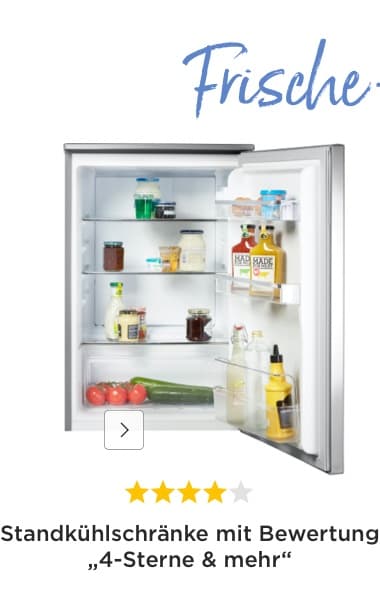 Standkühlschränke